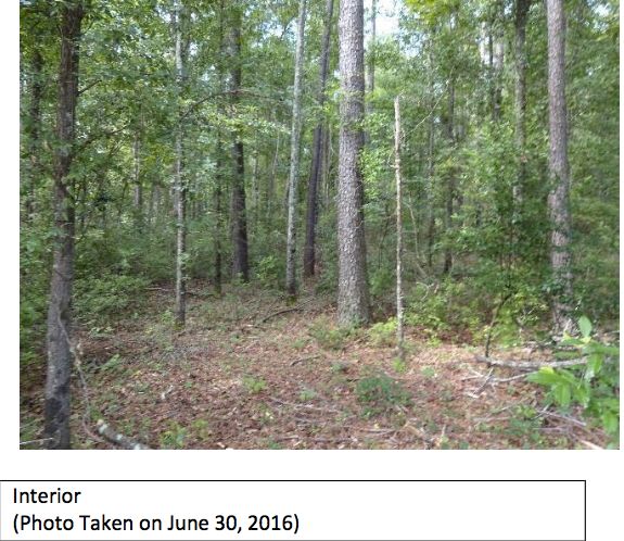 Industrial Development Site: Elko Street, Williston, SC 29853